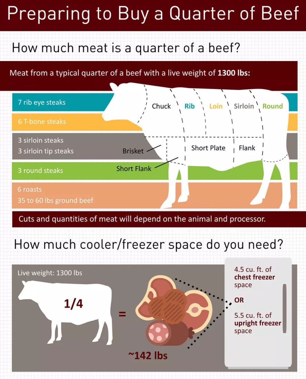 About the Beef Arellano Cattle Company